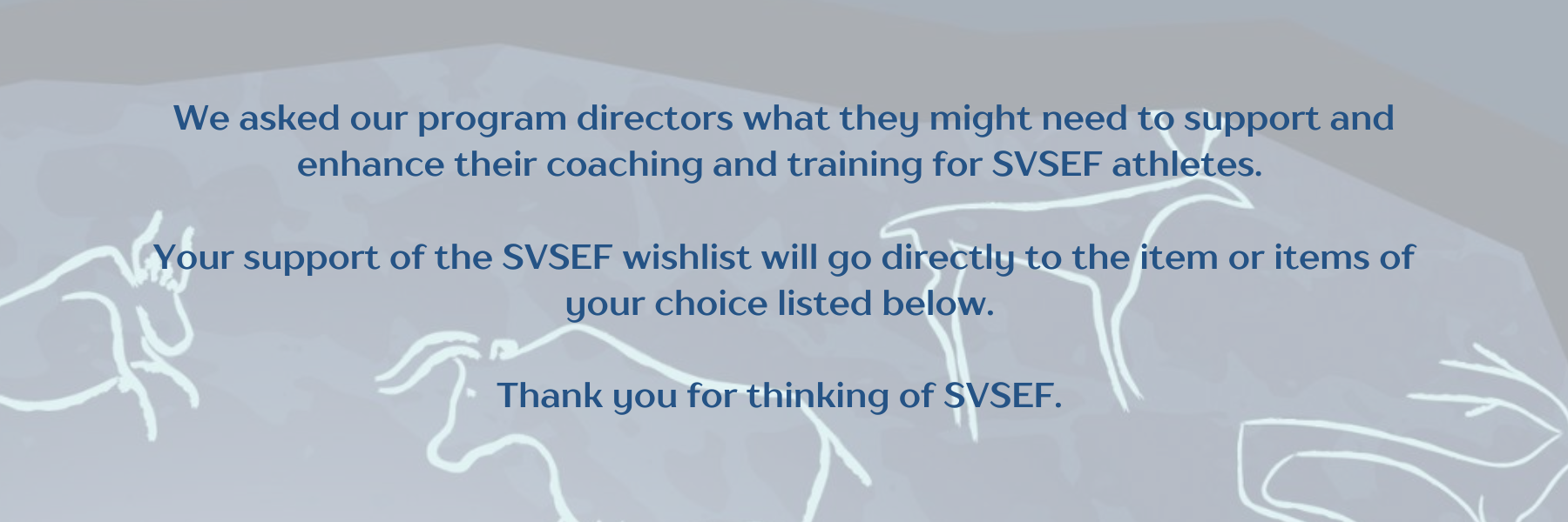 We asked our program directors what they might need to support and enhance their coaching and training for SVSEF athletes. Your support of the SVSEF wishlist will go directly to the item or items of your choice liste.png